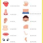 7 Rahasia Mudah Memahami Soal Bahasa Inggris Kelas 1 SD Tentang Part of Body dengan Cepat