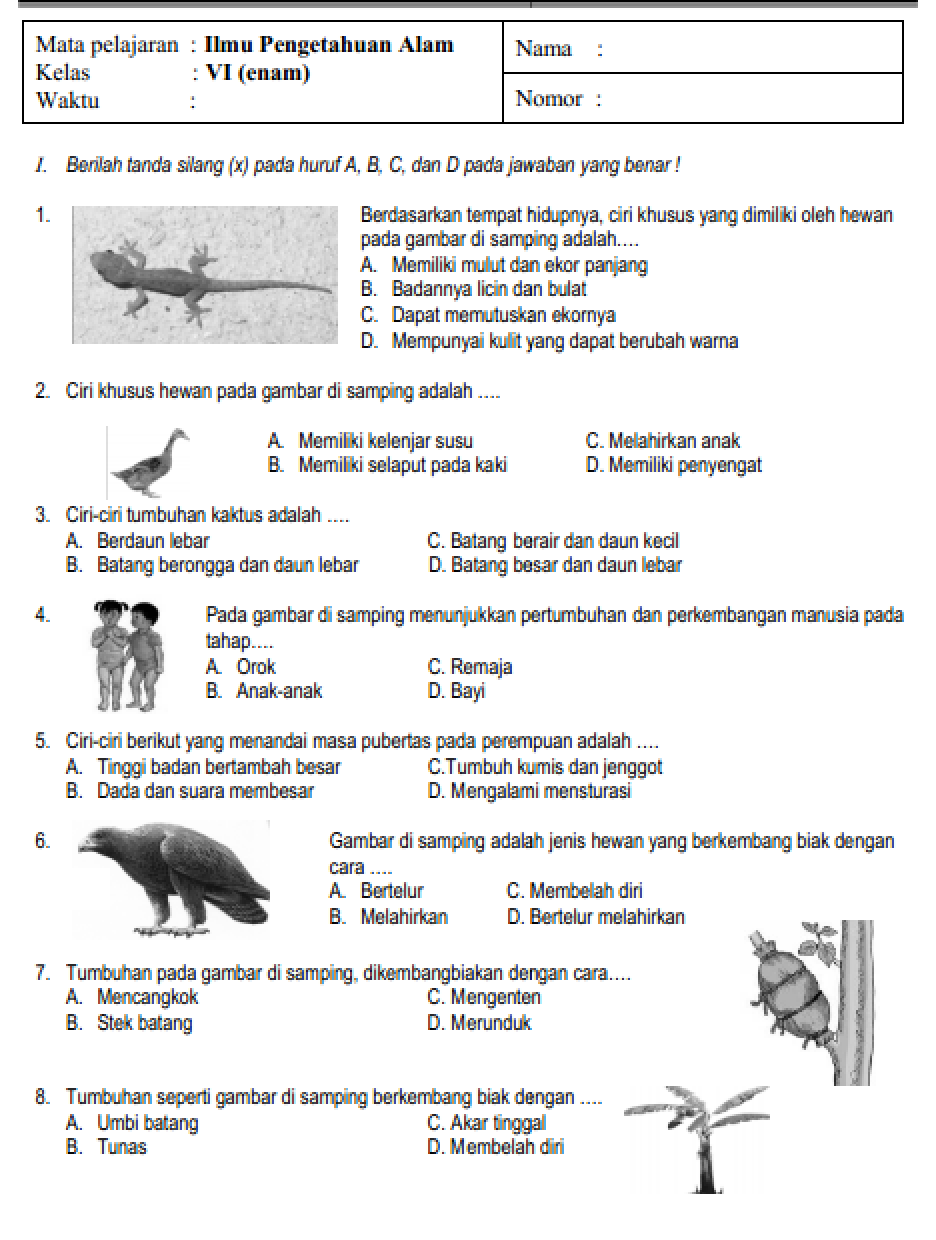 Soal Ipa Kls 3 Semester 1 - Piffle me