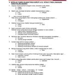 5 Fakta Mengejutkan Contoh Soal Kelas 2 Tema 6 Subtema 4 yang Wajib Diketahui