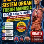 5 Fakta Mengejutkan Contoh Soal UN Organ Tubuh Manusia SD Kelas 4 yang Wajib Tahu